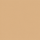 CEM Chroma Arabian Sand integral concrete pigment color swatch