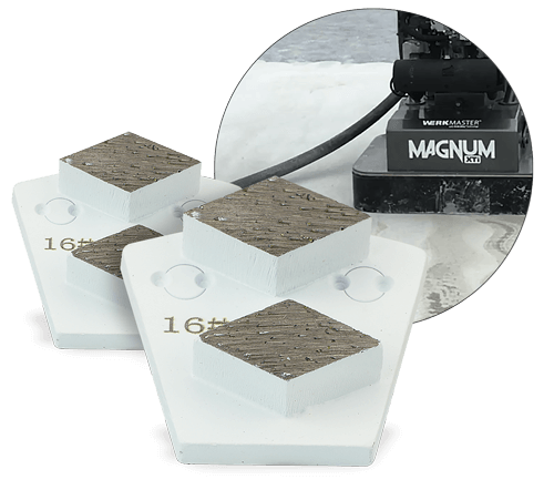 Two white WerkMaster 16-grit Shark metal bond tools with two grinding segments each, beside an inset showing a Magnum XTX floor grinder